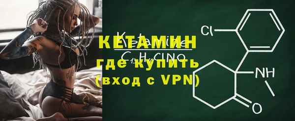 шишки Беломорск