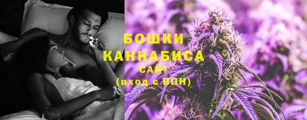 шишки Беломорск